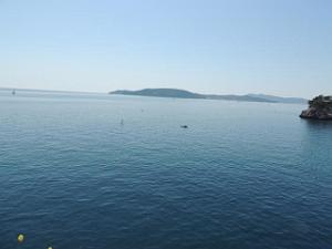 2018 04 21 NOTRE DAME DE CAP FALCON AU CAP BRUN DE TOULON (5)